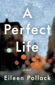 A Perfect Life A Perfect Life