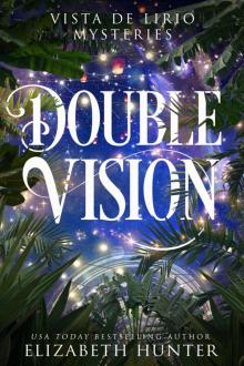 Double Vision Double Vision