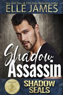 Shadow Assassin Shadow Assassin