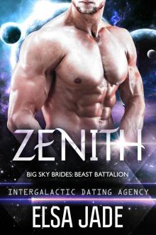 Zenith Zenith