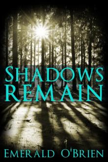 Shadows Remain Shadows Remain