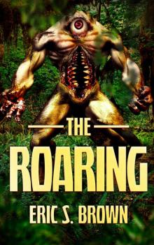 The Roaring The Roaring