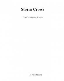Storm Crows