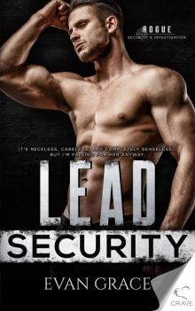 Lead Security