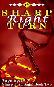Sharp Right Turn (Sharp Turn Saga #2)