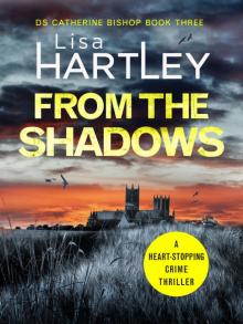 From the Shadows From the Shadows