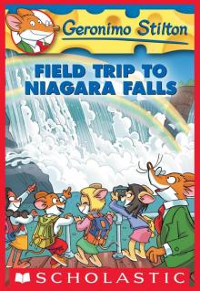 Field Trip to Niagara Falls