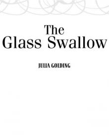 Glass Swallow Glass Swallow