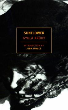 Sunflower Sunflower