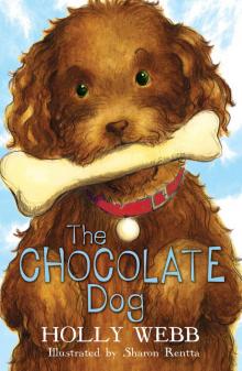 The Chocolate Dog The Chocolate Dog