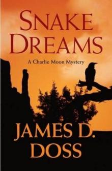 Snake Dreams Snake Dreams