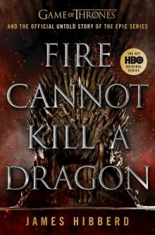 Fire Cannot Kill a Dragon Fire Cannot Kill a Dragon