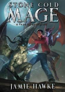 Stone Cold Mage Stone Cold Mage