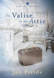 Valise in the Attic