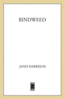 Bindweed Bindweed