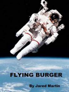 Flying Burger Flying Burger