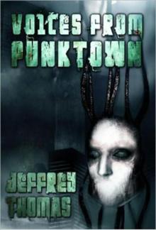 New Title 2