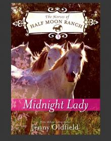 Midnight Lady Midnight Lady
