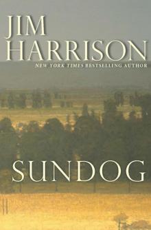 Sundog Sundog