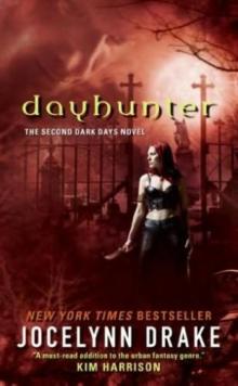 Dayhunter