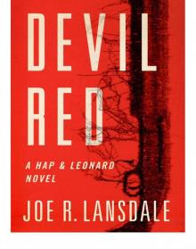 Devil Red cap-8