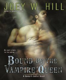 Vampire Queen 8 - Bound by the Vampire Queen