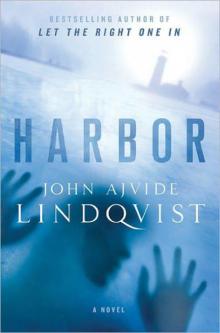 Harbor Harbor