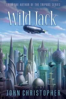 Wild Jack Wild Jack