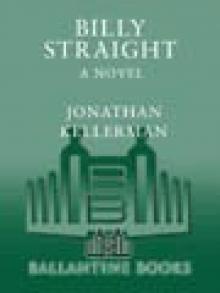 Billy Straight: A Novel (Petra Connor)