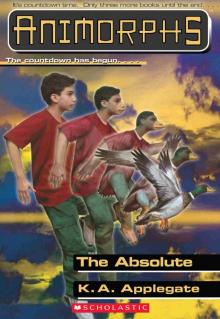 The Absolute The Absolute