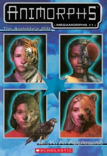 The Andalite's Gift
