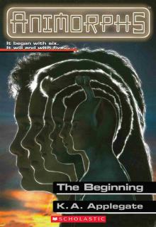 The Beginning The Beginning