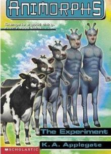The Experiment The Experiment