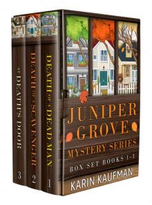 Juniper Grove Cozy Mystery Box Set 1