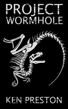 Project Wormhole