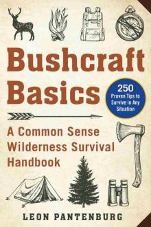 Bushcraft Basics Bushcraft Basics