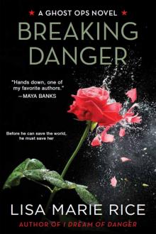 Breaking Danger Breaking Danger
