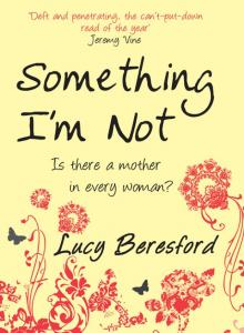 Something I'm Not Something I'm Not
