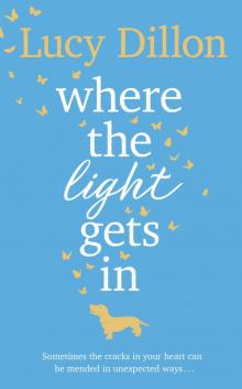 Where the Light Gets In Where the Light Gets In