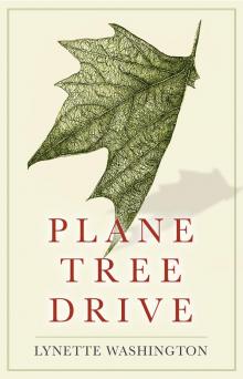 Plane Tree Drive