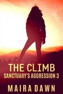 The Climb The Climb
