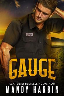Gauge Gauge