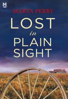 Amish Suspense 03 - Lost in Plain Sight