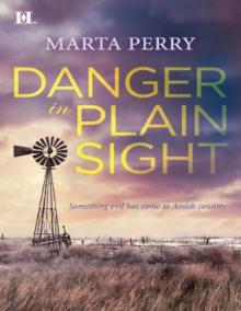 Danger in Plain Sight (Hqn) Danger in Plain Sight (Hqn)