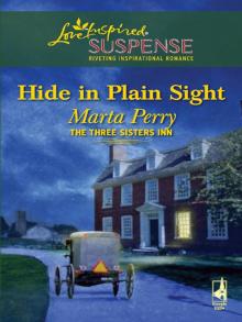 Hide in Plain Sight Hide in Plain Sight