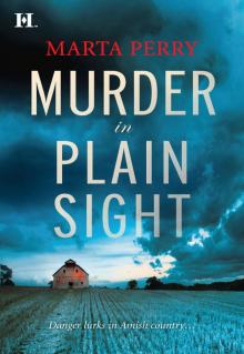 Murder in Plain Sight Murder in Plain Sight
