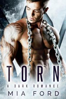 TORN: A Dark Romance