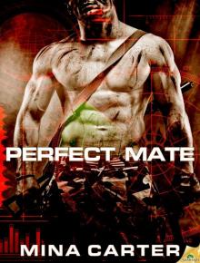 Perfect Mate Perfect Mate