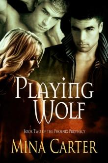 Playing Wolf Playing Wolf