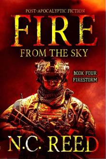 Fire From the Sky: Firestorm Fire From the Sky: Firestorm